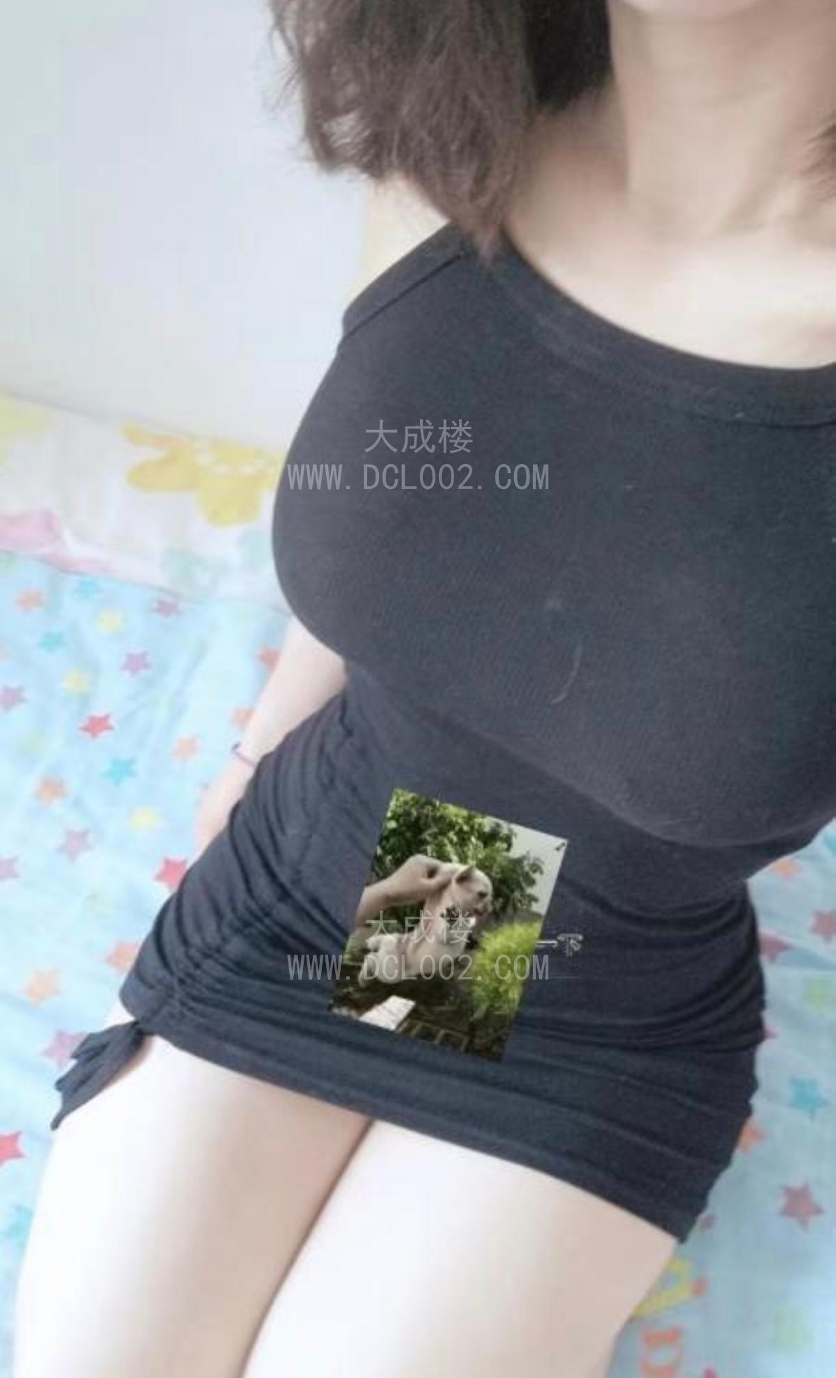 南山小野猫