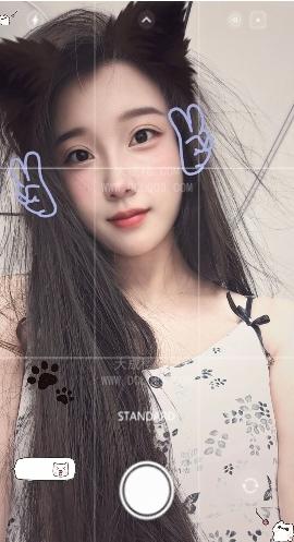 河北沧州本人求包养